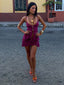 GEORGINA MINI SKIRT PLUM Mini Skirt 