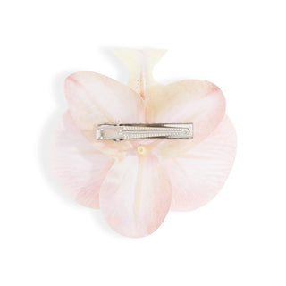 ORCHID FLOWER CREAM Accessories 