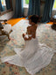 SINORA MAXI DRESS IVORY Maxi Dress 
